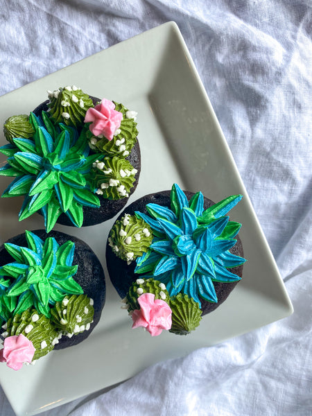 Succulent Cupcakes (6, 12)